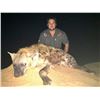 Image 2 : Mozambique Leopard Hunt Plus Spotted and Brown Hyenas