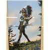Image 2 : Nicely Framed 10 x 13 Native Print