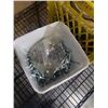 Image 2 : CRATE AND BIN OF TOOLS, SHOP SUPPLIES, BOLTS