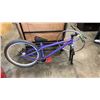 Image 1 : PURPLE SINGLE GEAR BIKE WITH DISC BRAKE