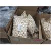 Image 1 : 15 Packages of Drilled Wood Beads