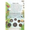Image 2 : 1993 Australian Uncirculated Coin Set