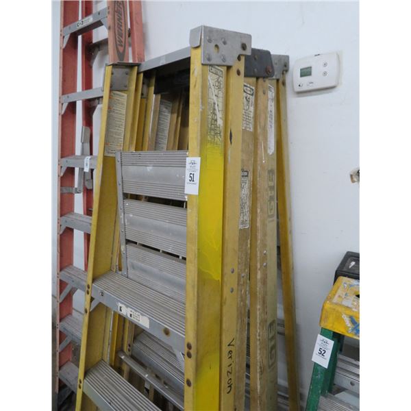 3-Werner 6' or CTE 5' F/G Step ladder - 3 X $