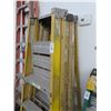 Image 1 : 3-Werner 6' or CTE 5' F/G Step ladder - 3 X $