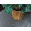 Image 3 : Silk Palm In Basket