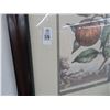 Image 2 : Framed Fruit Plant Print - 36" x 44"
