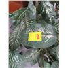 Image 2 : Lot of Potted Silk Plant (2)