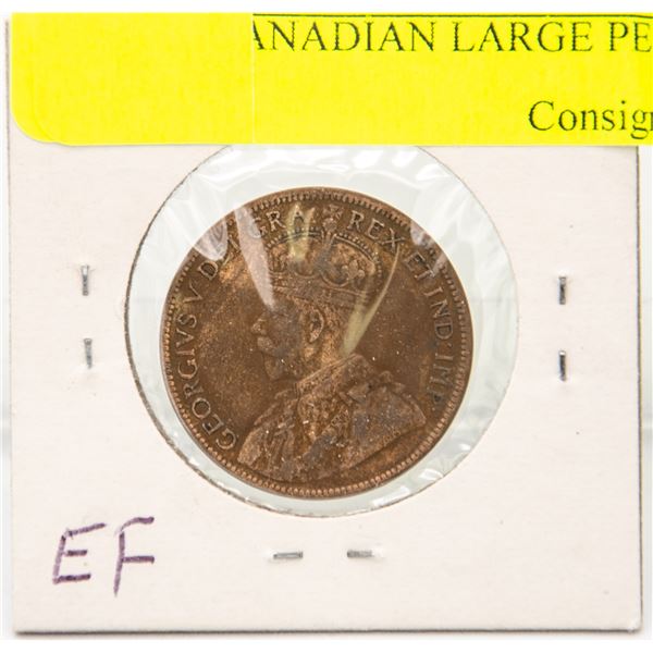 1919 CANADIAN LARGE PENNY EF