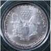 Image 3 : 1992 SILVER EAGLE BU IN LITTLETON PACK