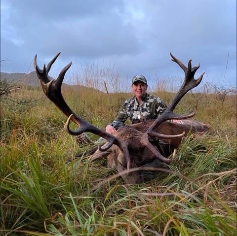 Irish Red Stag or Sika Stag Hunt Free Range Hunt for One Rock House Estate