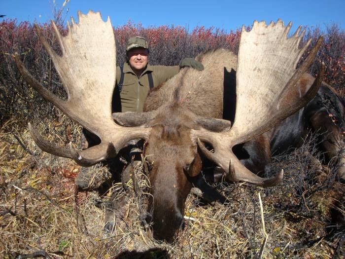 9 Day Fully Guided Yukon Moose Hunt for One Hunter Yukon Big Game
