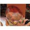 Image 2 : Octopus Décor Wall Hanging 34"W x 28"H