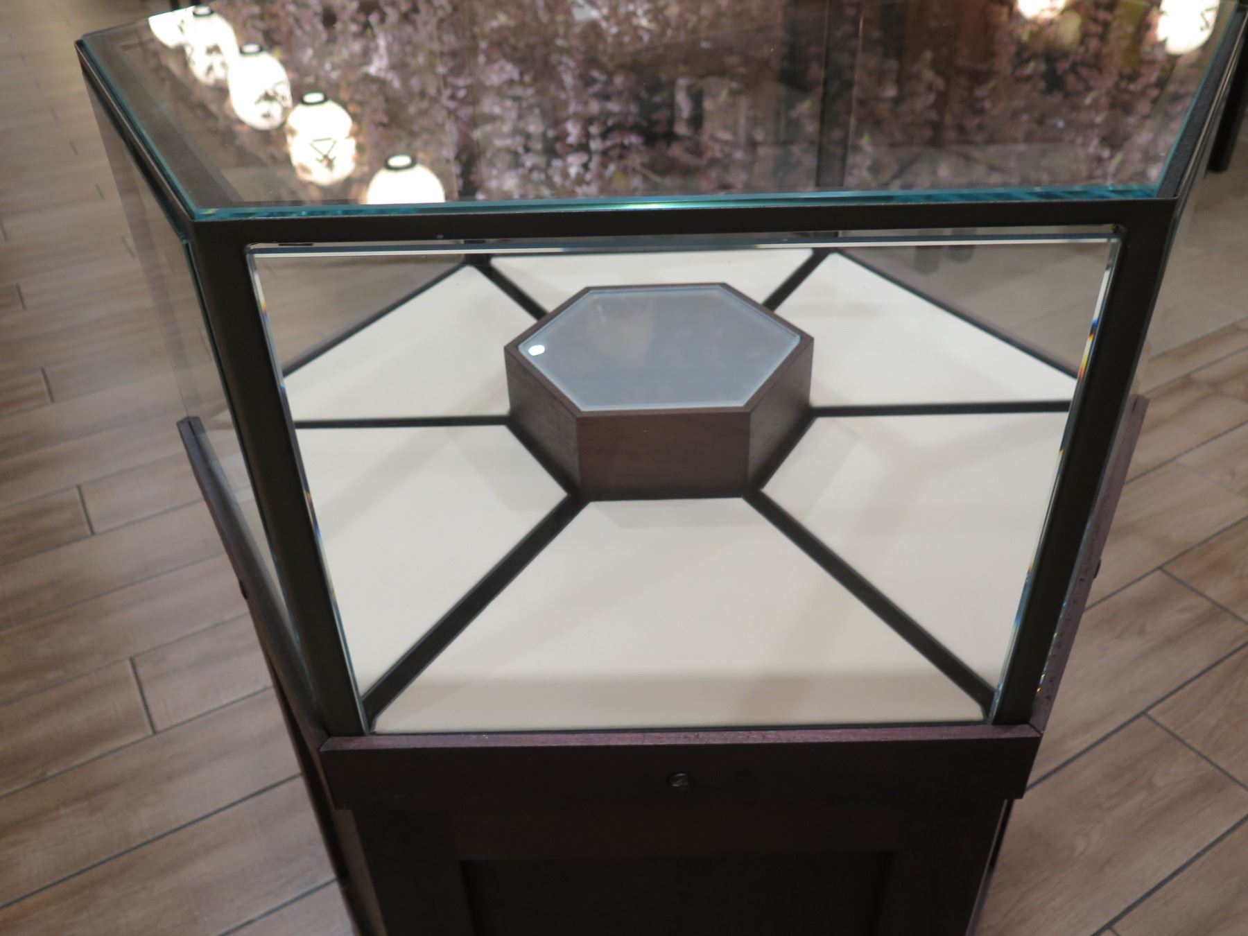 Locking Hexagon Shape Display Case w/ 6 Pull-Out Sections 29