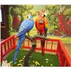 Image 2 : Pair of Large Lucky Parrots (Shiro & Kiya) 39" x 83" x 68"H w/ Red Interlocking Enclosure