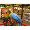 Image 8 : Pair of Large Lucky Parrots (Shiro & Kiya) 39" x 83" x 68"H w/ Red Interlocking Enclosure