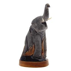 Water Buffalo Horn Scrimshaw Elephant RARE (CLB-467)
