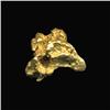 Image 1 : Gold Nugget 27 Grains Pure 22-24K (COI-5196)