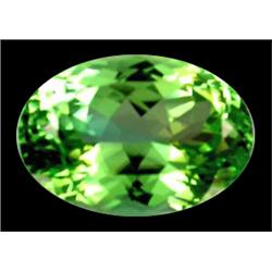 24ct Flawless Natural Top Deep Patroke Green Kunzite FLAWLESS (GEM-17021)