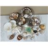 Image 1 : Seashells Lot
