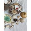 Image 3 : Seashells Lot