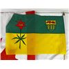 Image 2 : Flags Lot
