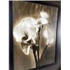 Image 2 : Calla Lilly Art - New