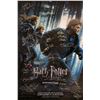 Image 1 : Harry Potter Deathly Hallow 1 Signed Poster