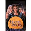 Image 1 : Hocus Pocus Bette Midler Signed Poster
