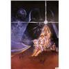 Image 1 : Star Wars New Hope Signed Poster