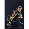 Image 1 : Avenger Photo Jeremy Renner Autographed Signed