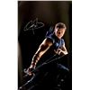 Image 1 : Jeremy Renner Autograph Avengers Hawkeye Poster