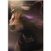 Image 1 : Autograph Avengers Endgame Bradley Cooper Poster