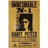 Image 1 : Harry Potter Daniel Radcliffe Poster Signed