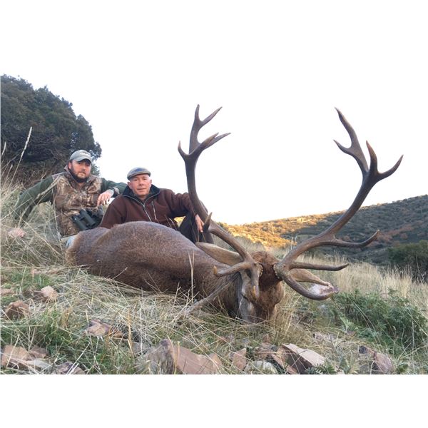 Chamois & Red Stag Hunt with ATP Hunt in Spain