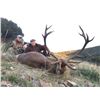Image 1 : Chamois & Red Stag Hunt with ATP Hunt in Spain
