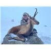 Image 2 : Chamois & Red Stag Hunt with ATP Hunt in Spain