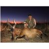 Image 1 : Namibian Safari with Afrihunt for 2 Hunters - includes 6 trophy fees