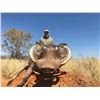 Image 2 : Namibian Safari with Afrihunt for 2 Hunters - includes 6 trophy fees