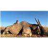 Image 3 : Namibian Safari with Afrihunt for 2 Hunters - includes 6 trophy fees