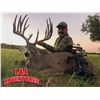 Image 4 : Texas Whitetail & Exotic Hunt