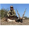 Image 8 : Texas Whitetail & Exotic Hunt