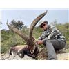 Image 3 : SPAIN: 4 DAY/3 NIGHT BECEITE IBEX HUNT FOR 1 HUNTER