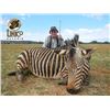Image 13 : Unico Safaris - South African Safari for two hunters