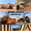 Image 2 : South African Safari for up to 4 Hunters with Ubathi Safaris
