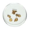 Image 1 : Gold Nuggets 1.51 Grams Total Weight