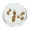 Image 1 : Gold Nuggets 2.58 Grams Total Weight