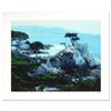 Image 1 : Robert Sheer "Spirits Honoring The Lone Cypress" Limited Edition Photo On Paper