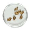 Image 1 : Gold Nuggets 2.19 Grams Total Weight