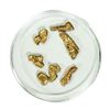 Image 1 : Lot of Gold Nuggets 4.34 grams Total Weight