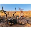 Image 2 : 10 Day African Hunt for 2 People
